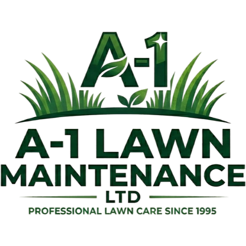 Company Name