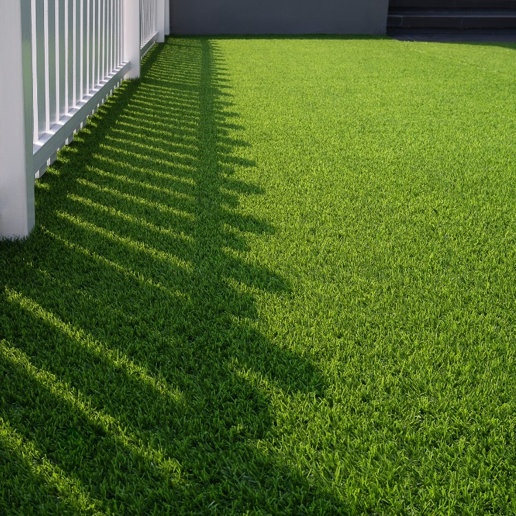 Lawn Maintenance Services in Colorado Springs, CO