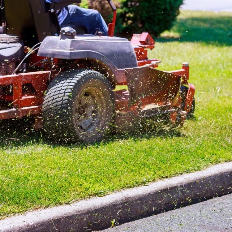 Lawn Maintenance Services in Colorado Springs, CO